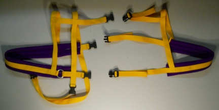 Gold/purple Goat Harness 2