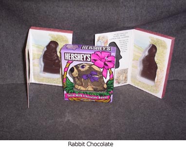 rabbitchocolate 2006-04-25.jpg
